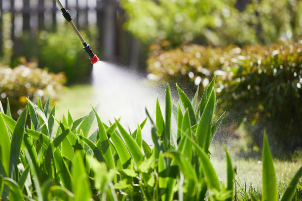 24/7 Emergency Mosquito Control experts in Forest Ranch, CA