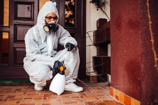 Reliable Mosquito Control contractor in Forest Ranch, CA by Show Me Pest Control